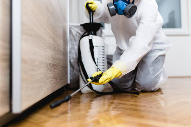 Best Affordable Pest Control Services  in Marshall, MO