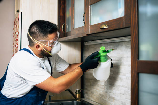 Best Commercial Pest Control Services  in Marshall, MO