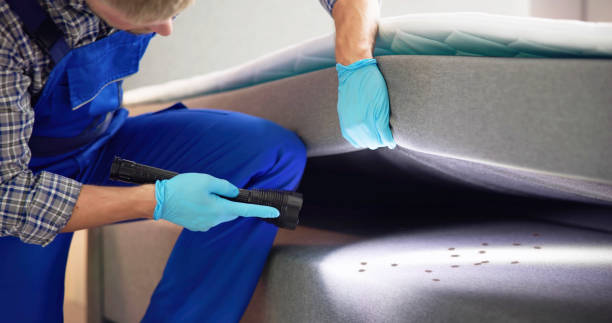 Best Best Pest Control Near Me  in Marshall, MO
