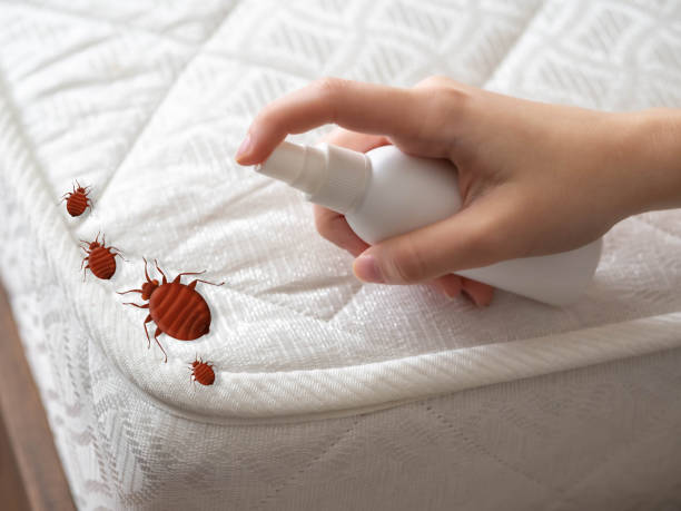 Best Pest Control for Homes  in Marshall, MO